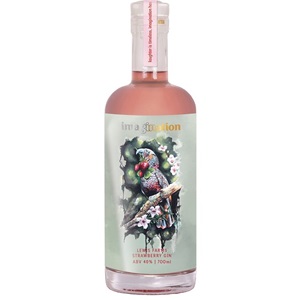 Picture of Imagination Lewis Farms Strawberry Gin 700ml